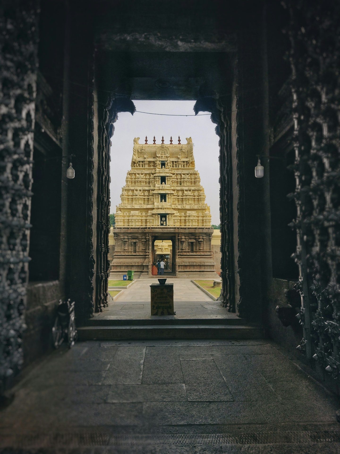 Tirupati Balaji Darshan